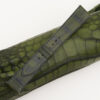 Green Alligator 05
