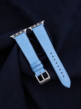 Driftwood Hues Leather Apple Band