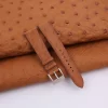 Brown Ostrich leather Watch Strap