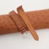 Brown Ostrich Leather Fixed Bars Watch Strap