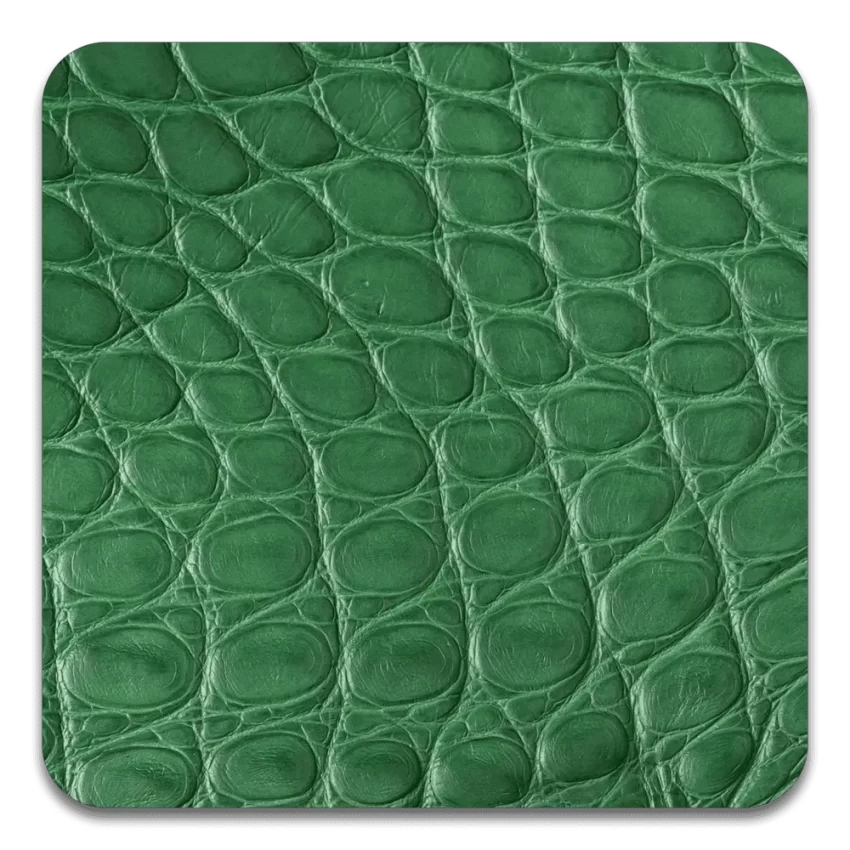 Light Green Alligator Round Slaces